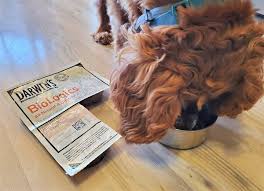 Darwin's natural pet products | darwin's pet food. Unbiased Darwin S Dog Food Review 2021 We Re All About Pets