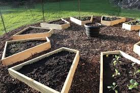 5 Creative Vegetable Garden Ideas Epic Gardening Raised Garden Veggie Garden Plants