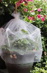 Should fruit trees be covered in freezing temps? 7 Best Frost Protection For Plants Ideas Frost Protection For Plants Plants Garden