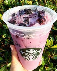 We did not find results for: Starbucks Secret Menu Purple Drink Is The Newest Internet Sensation Starbucks Secret Menu