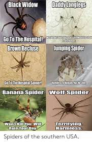 Do daddy long legs eat black widows? Are Daddy Long Legs The Most Venomous Spider In The World