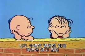 스누피 짤모음 위로글귀 사랑글귀 스누피글귀 명대사 1탄 네이버 블로그 스누피 웃긴 바탕화면 찰리 브라운