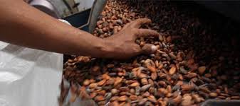 Prentresultaat vir jasa import KIMIA