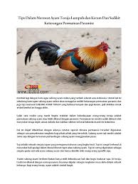 Dalam permainan sabung ayam sv388, anda akan disediakan beberapa arena sekaligus yang disiarkan secara live dari filipina. Tips Dalam Merawat Ayam Toraja Lumpuh Dan Keram Dan Sedikit Keterangan Permainan Paramisi Pdf