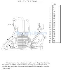 What Does Each Weight Plate Weigh In Standard Gym Equipment