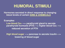 Endocrine System Ppt Download