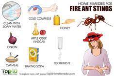 Toothpaste for the treatment of fire ant's bite primarily acts as a cooling agent on the skin because generally, all toothpaste has menthol, peppermint, or fire ant bite symptoms include swelling, itchiness, redness and, pain. 7 Hacks For Outside Ideas Fire Ant Bites Remedies Ant Bites Fire Ant Bites
