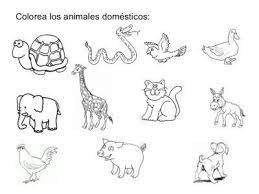 Dibujos Para Colorear De Animales Domesticos Y Salvajes Actividades De Los Animales Imagenes De Animales Animal Domestico