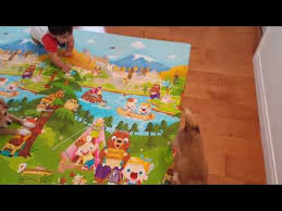 Assemble a fun play space for your little one with the babycare funzone playpen. Types Of Baby Play Mat