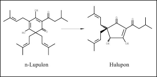 Possibly consumable substances, substances of biological interest. Die Bedeutung Und Analytik Der Hopfeninhaltsstoffe Lfl