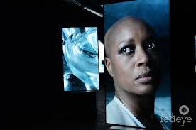 Daniel Arsham: The Future Was Written & Isaac Julien: Stones Against  Diamonds at YoungArts