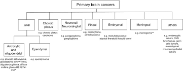 Brain tumors alone may be cancerous or non cancerous. Modeling The Interaction Between The Microenvironment And Tumor Cells In Brain Tumors Sciencedirect
