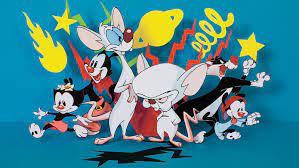 Itch and loses, when pinky points out that mr. Letter Of Recommendation Pinky And The Brain The New York Times