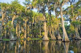 Maybe you would like to learn more about one of these? 14 Top Rated Tourist Attractions In Louisiana Planetware