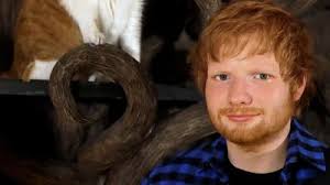 Feline friends: Ed Sheeran waxwork unveiled at cat cafe in London