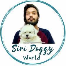 Siri Doggy World - YouTube