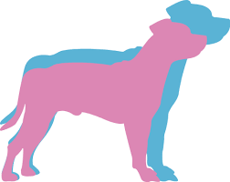 Free Free 198 Staffordshire Bull Terrier Svg SVG PNG EPS DXF File