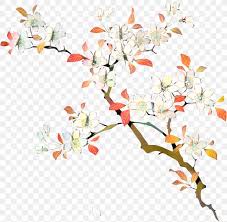 Check spelling or type a new query. Floral Design Flower Japanese Language Gray Fullbuster Png 1599x1568px Floral Design Blossom Botany Branch Cut Flowers