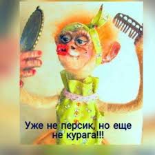 поздравления с днем рождения на польском языке в картинках 47 Odnoklassniki Funny Phrases Funny Expressions Birthday Greetings Funny