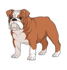 Dog coloring page coloring pages for kids coloring books images of pugs bulldog drawing christmas tree coloring page old english bulldog online coloring boxer dogs. Bulldog Face Vector Images Over 3 200