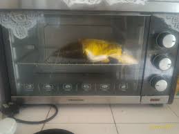 19.four x 23.9 x 14.zero inches. Pensonic Peo 3501 Oven Reviews