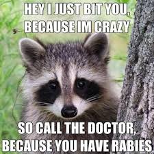 Hey I Just Met You And This Is Crazy Meme Funny Animal Hey I Just Met You And This Is Crazy Meme Funny Animal Memes Laugh Haha Funny