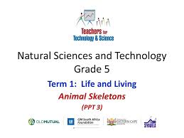 Below are some of the skills and concepts your child will. Natural Sciences And Technology Grade 5 Ppt Video Online Download