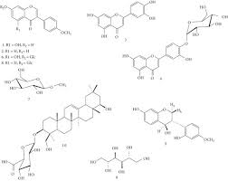 Image result for Trifolium baccarinii