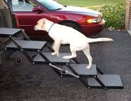 Balfour 32'' pet ramp dogs and cats will love this simple ramp, with its textured carpet for added grip and adjustable incline. Top 5 Best Dog Steps For Cars In 2020 Dogsrecommend