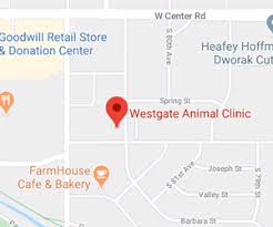 At warner west pet clinic in huntington beach, we strive to offer not only sound advice, but also optimal veterinary care, thus allowing you the enjoyment of your companion for a maximum number of years. Veterinarian In Omaha Ne Exceptional Vet Care Local Animal Hospital