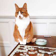 Ridley S Cat Lover S 1000 Piece Jigsaw Puzzle Jigsaw Puzzles Cat Lovers Cats Illustration