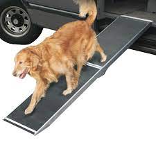 See us for quality advanced pet care today. Dog Doctor Near Me Number The Y Guide