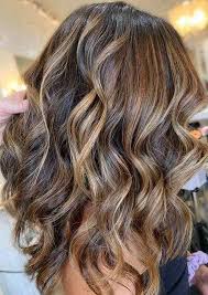 Amazing Bronze Balayage Hair Color Ideas To Follow In 2020 In 2020 Bronze Hair Color Balayage Hair Hair Color Balayage