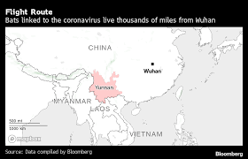 It is the largest city in hubei and the most populous city in cent. China Is Making It Harder To Solve The Mystery Of How Covid Began Bloomberg