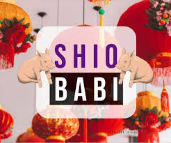 Ramalan Shio Babi 2020 Karir Uang Cinta Diedit Com