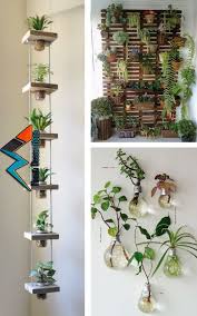 Pin By Michellepape On Haus In 2019 Pinterest Interior Garden Indoor Garden And Garden Plant Decor Indoor House Plants Decor Interior Garden