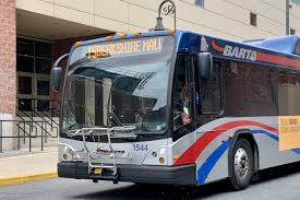 Image result for Bussea