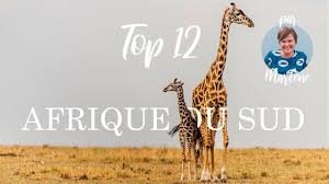 Météo d'aujourd'hui dans votre ville par tv5monde. Quand Partir En Afrique Du Sud Climat Meteo Et Affluence