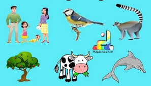 Maybe you would like to learn more about one of these? Makhluk Hidup Pengertian Contoh Jenis Teori Pembagian