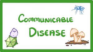 People, animals, food, surfaces, and air can all be carriers of the. Gcse Biology Communicable Disease 26 Youtube