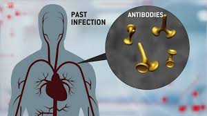 However, health sqyre does not offer home sleep tests through insurance at this time. What You Need To Know About Getting Tested For Coronavirus Thv11 Com