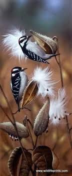 Bird On A Wire Movie Review Birds In Art Birds Exploding Baby Chicks Art Gopher Wire Mesh Bird Pictures Beautiful Birds Pet Birds