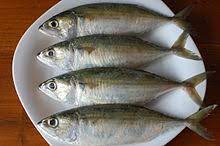 I will update this list frequently. Indian Mackerel Wikipedia