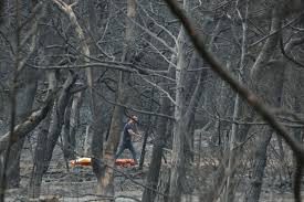 Συνδρομή παρέχουν 88 εθελοντές και 27 εθελοντικά οχήματα και 4 υδροφόρες οτα. Oi Pio Katastrofikes Pyrkagies Sthn Ellada Meta3y Toys Kai Toy 3ylokastroy To 2000 Loutraki 365