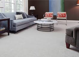 Stainmaster pet protect is one of hte best carpets for dogs and cats in the market. Stainmaster Petprotect Carpet And Cushion Floors To Go Longmont Co Carpet Masters Of Colorado
