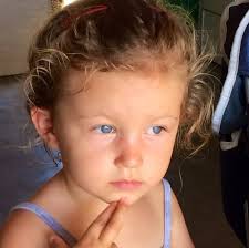 Has anyone seen a black mountain lion in the area?