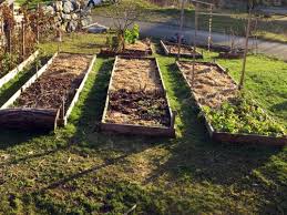 Il est particulièrement adapté pour les terres argileuses. Quel Paillage Choisir Pour Son Potager Au Refuge Des Graines