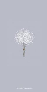 Pretty White Baby S Breath Bouquet Wallpapers For Phone Flower Wallpaer