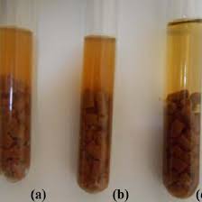 We did not find results for: Cooked Meat Media With Clostridium Perfringens Tubes A B Showing 24 Download Scientific Diagram