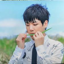 Music in the video : Bts Butterfly Dream Jungkook Photoset Entertainment K Wave On Carousell